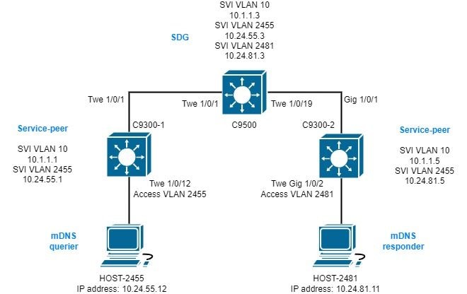 MDS_Multi_Layer-topologie