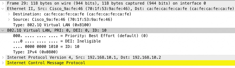 Wireshark Capture Output