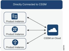 Directly connected to CSSM
