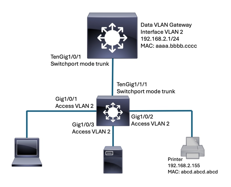 Segment of impacted network
