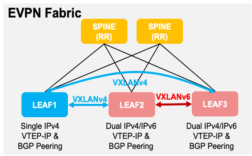 Brownfield VXLANv4 and VXLANv6 Seamless Migration