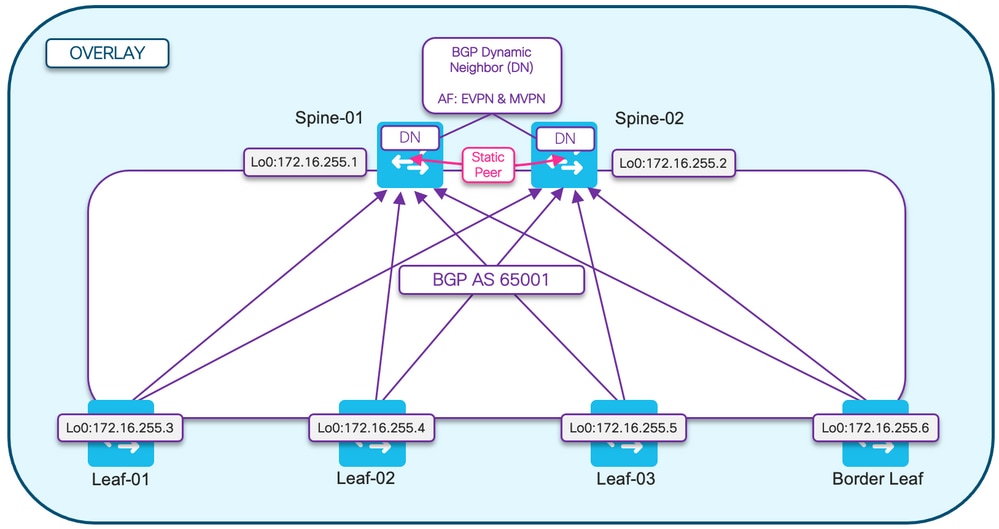 EVPN BGP Overlay Topology