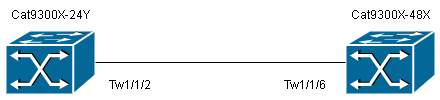 Topology 1