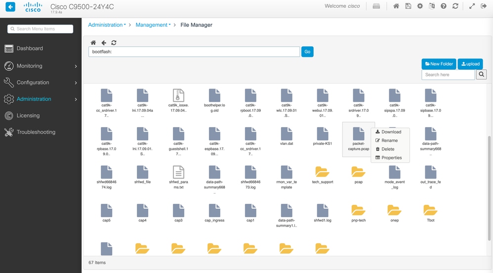 Download a File using the File Manager