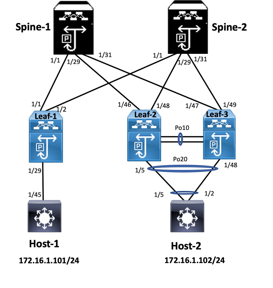 Configure vPC EVPN VXLAN Network Diagram