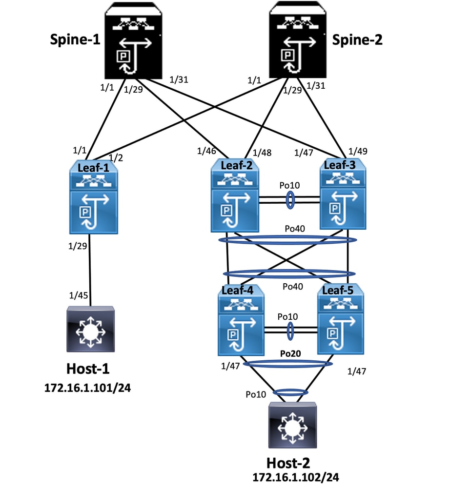 Configure Double-Sided vPC Network Diagram