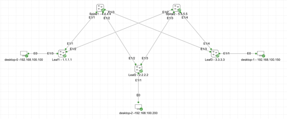 Network Connectivity Diagram