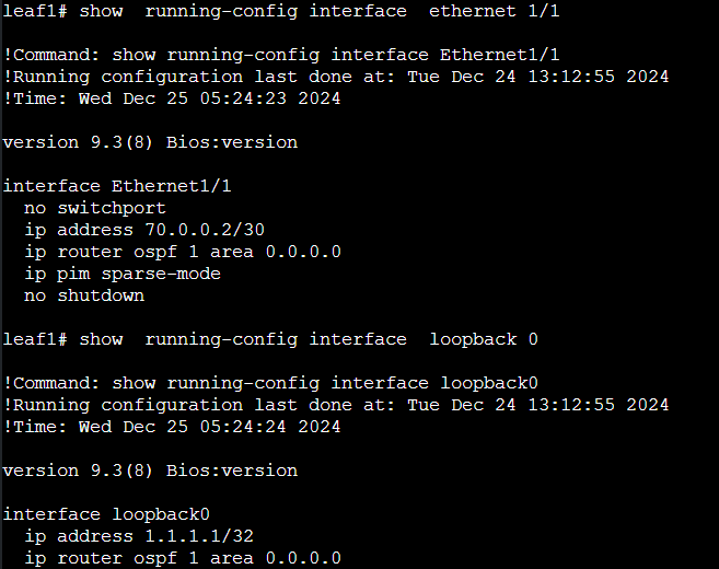 Enabling OSPF on Leaf Interface