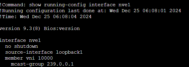 Creating NVE Interface