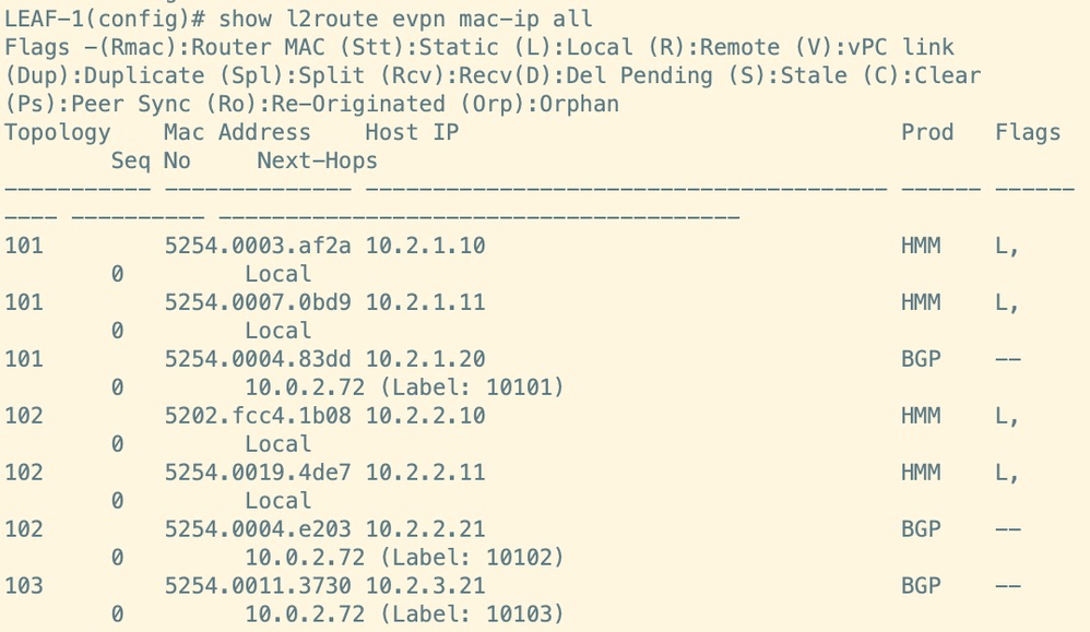 Command Output from Leaf 1
