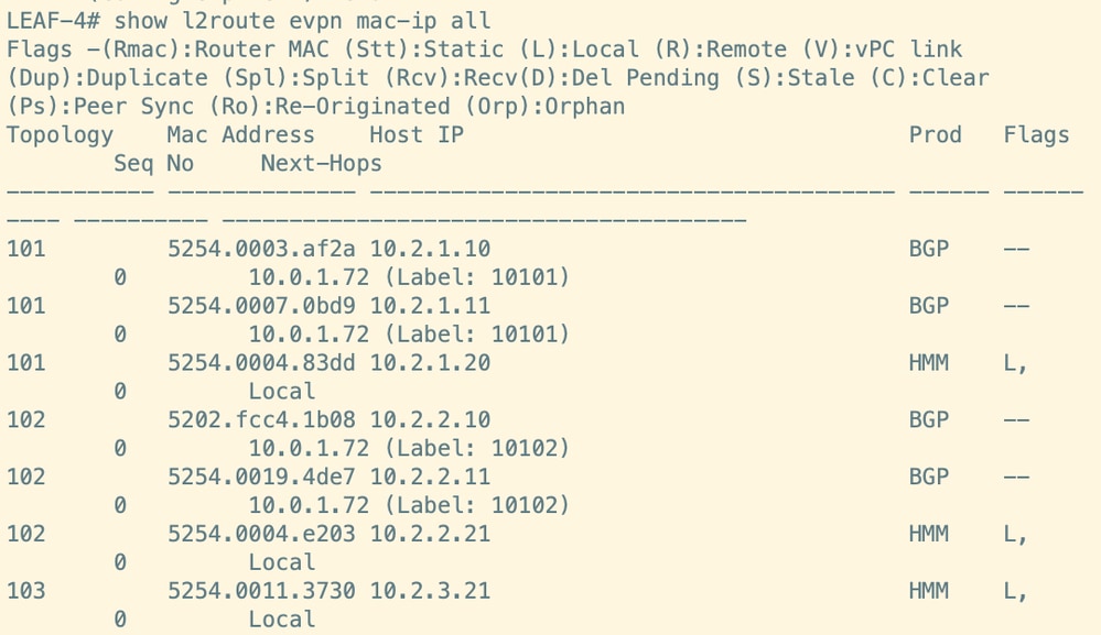 Command Output from Leaf 4