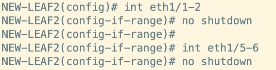 Commands for No Shut