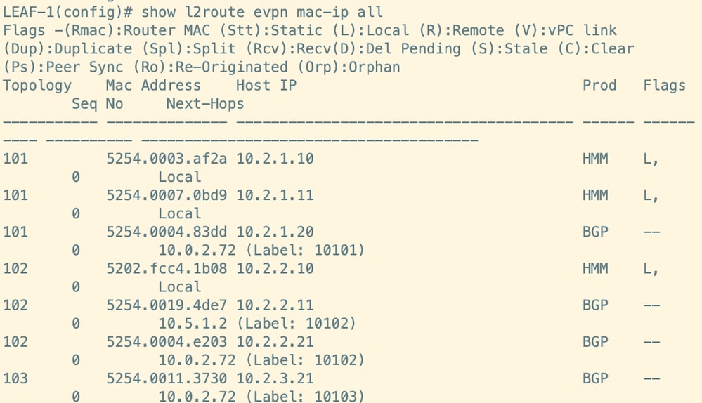 Route Verification on Leaf