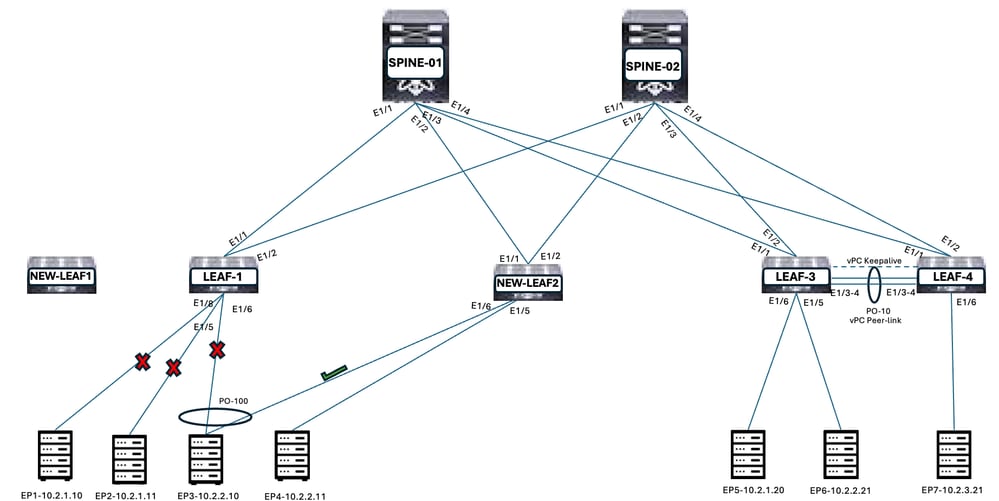 Bring up vPC Member Interface