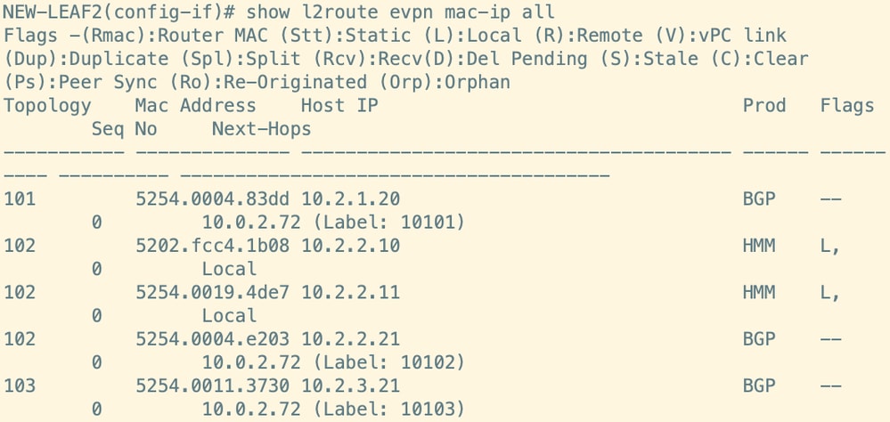 Route Verification on Leaf 2