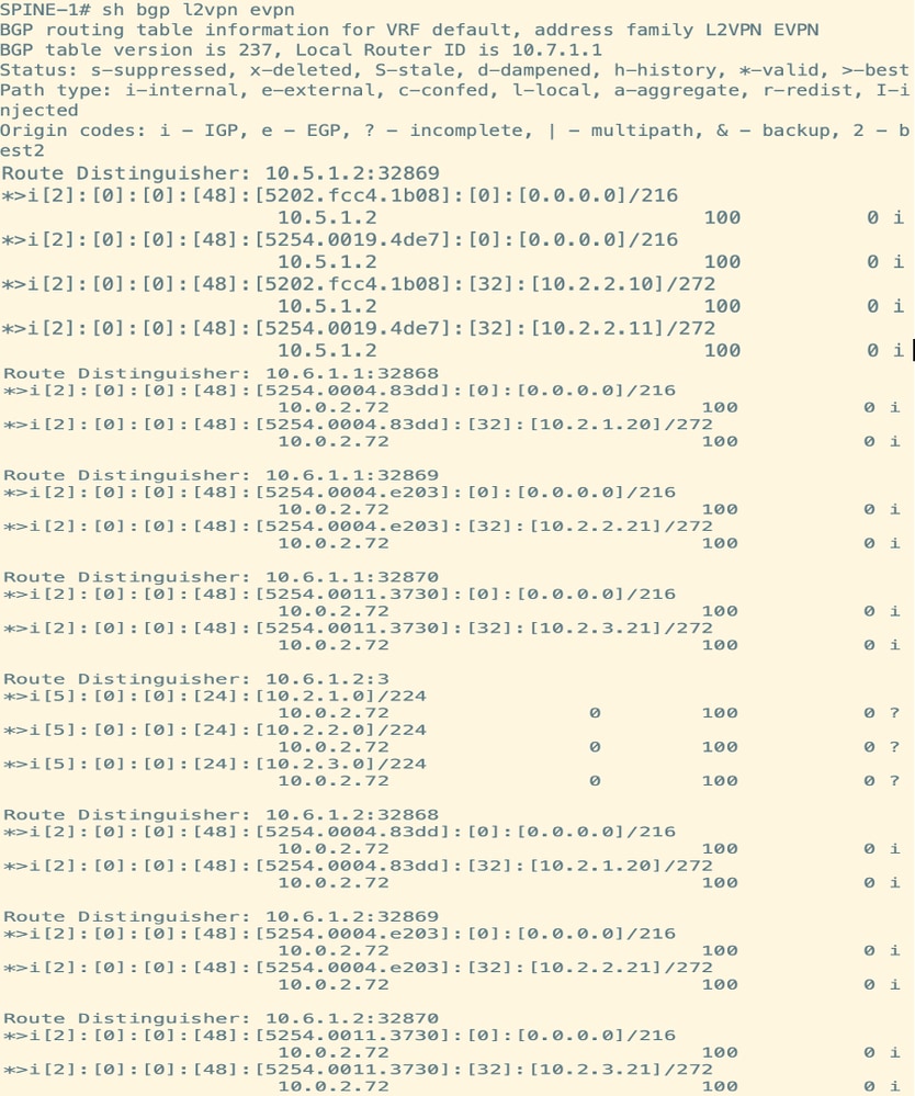 Route Verification on Spine