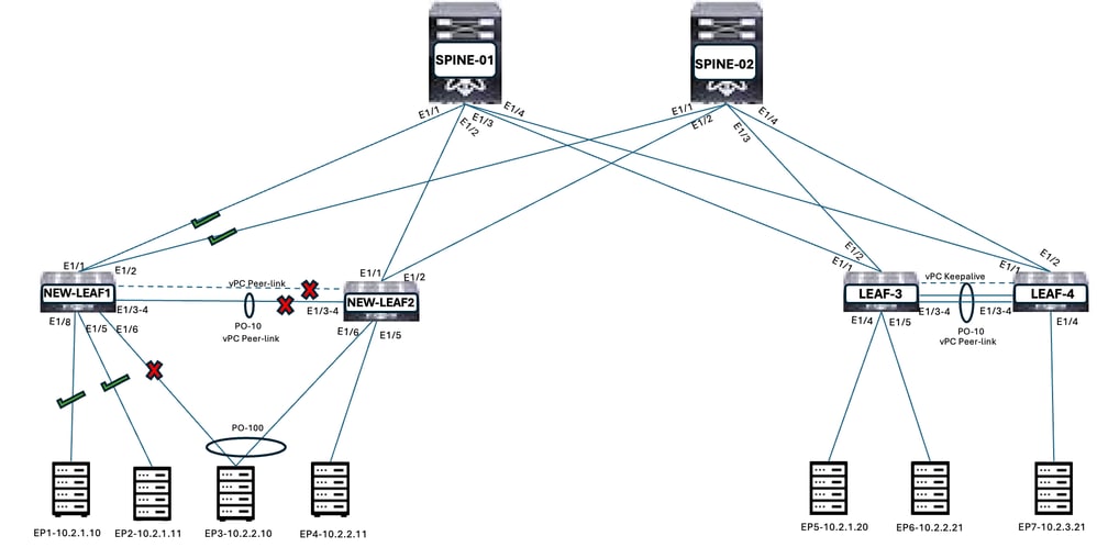 Bring up Uplink and Orphan Ports