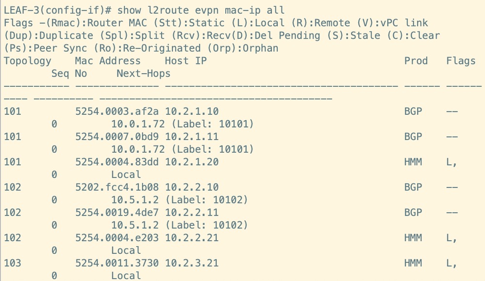 Route Verification on Leaf