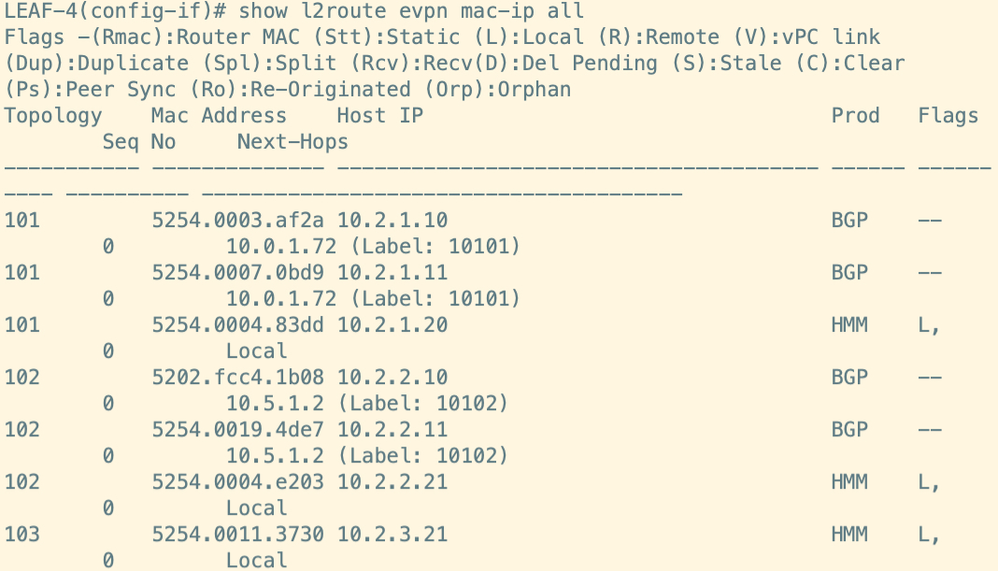 Route Verification on Leaf