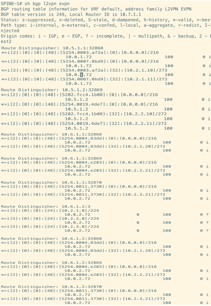 Route Verification on Spine