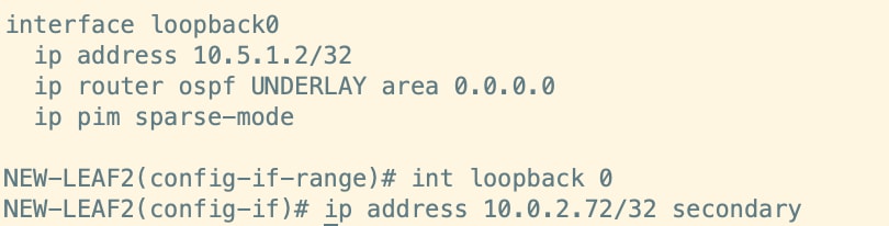 Configure Secondary IP Address on Loopback0