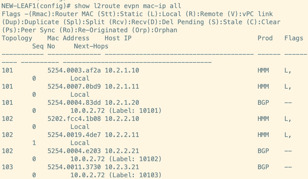 Route Verification on Leaf