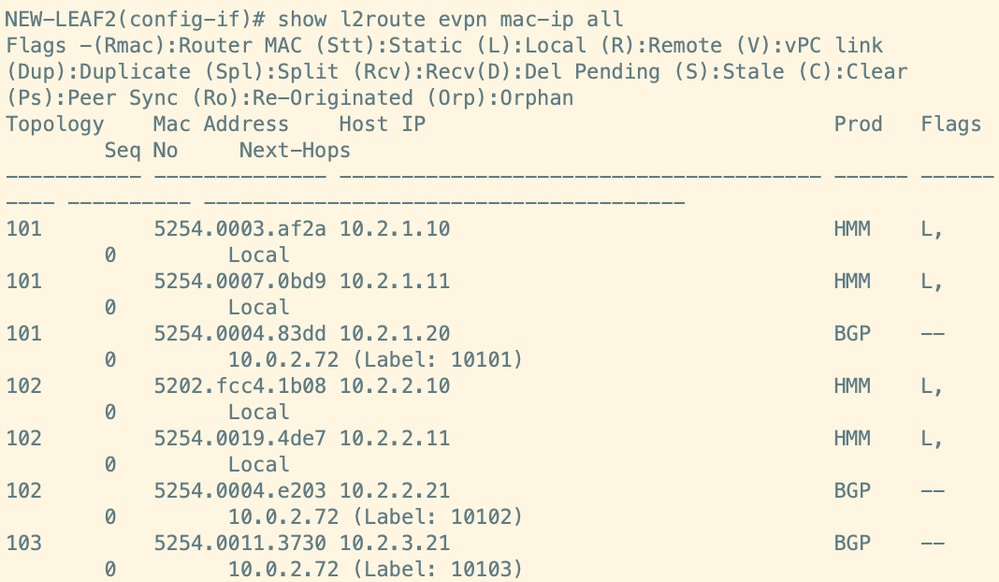 Route Verification on Leaf