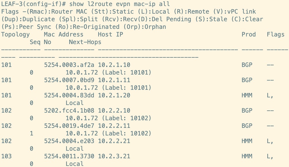 Route Verification on Leaf
