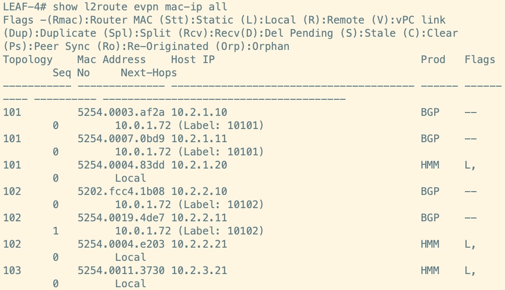 Route Verification on Leaf
