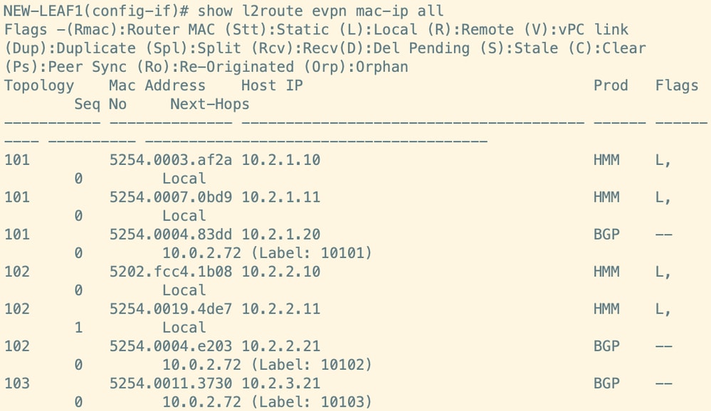 Route Verification on Leaf