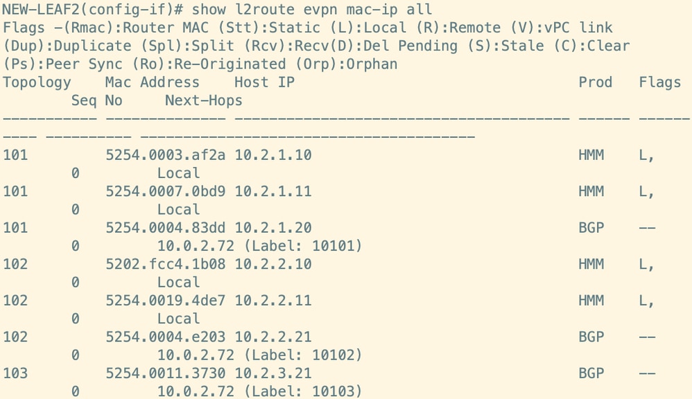 Route Verification on Leaf