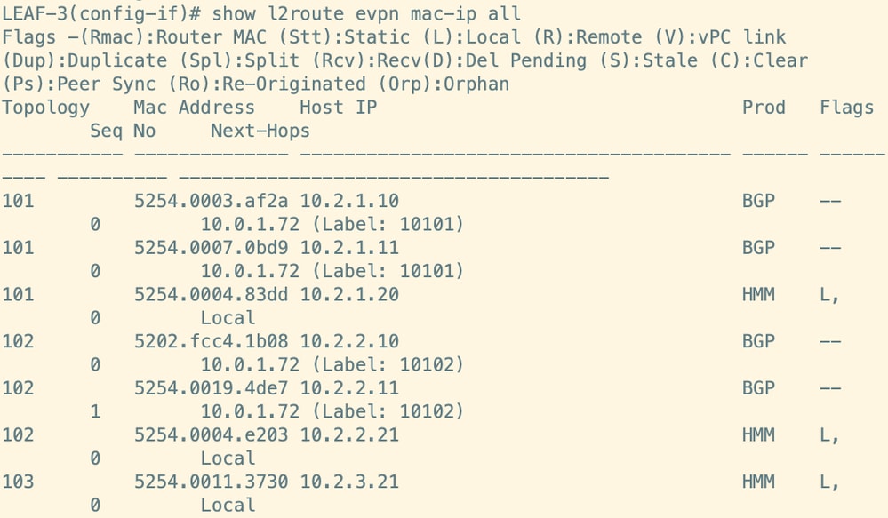 Route Verification on Leaf