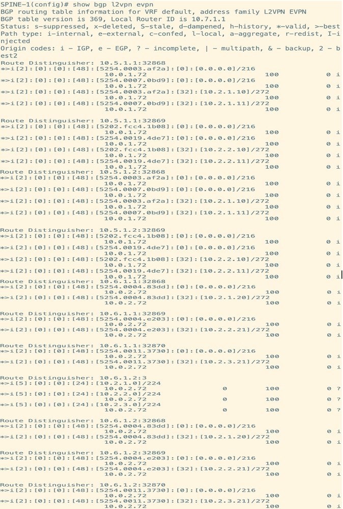 Route Verification on Spine
