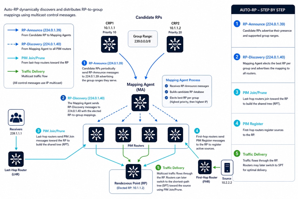 Auto-RP Operation in PIM Sparse Mode (Control Plane Workflow)