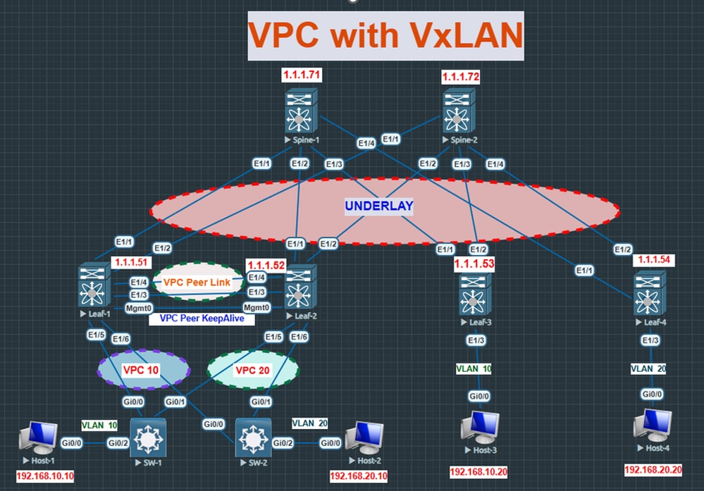 Network Diagram