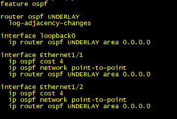 Enabling Open Shortest Path First (OSPF) on Leaf Switch