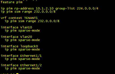 Enabling PIM on Leaf Switch