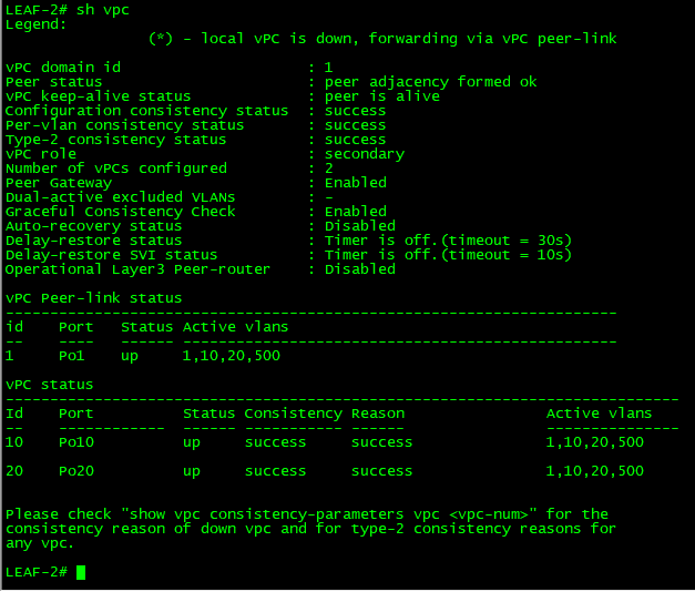 vPC Status on Leaf Switch 2
