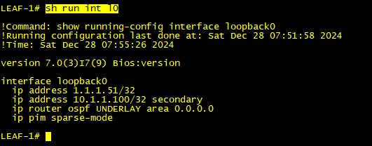 Secondary IP on Leaf Switch 1