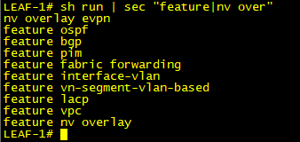 Features on Leaf Switch