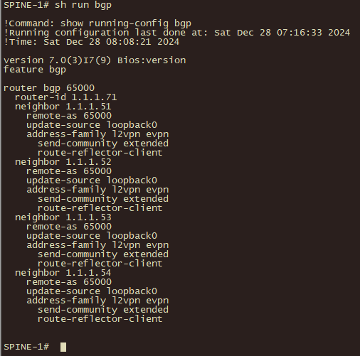 Enabling BGP on Spine Switch