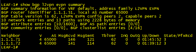 BGP Status on Leaf Switch