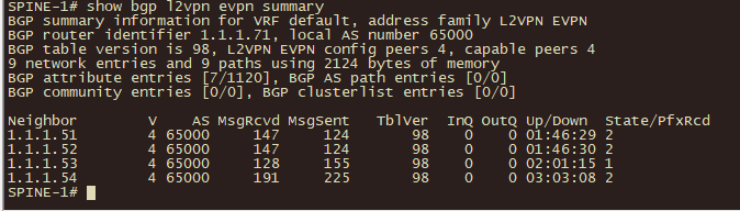 BGP Status on Spine Switch