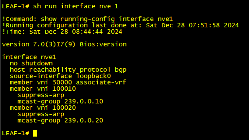 NVE Interface