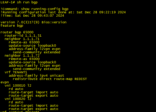 EVPN Instance