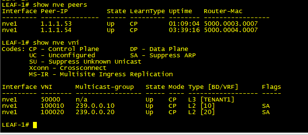 NVE Peers on vPC Switch