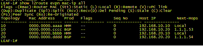 BGP l2route EVPN MAC-IP