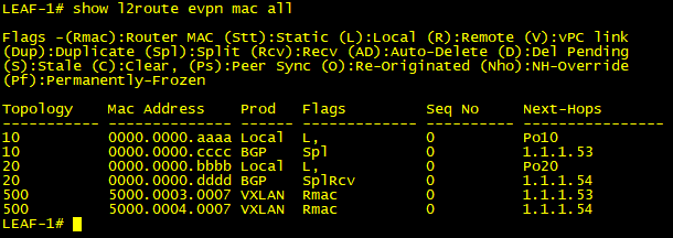 BGP l2route EVPN MAC