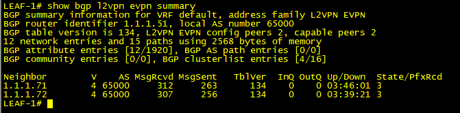 BGP EVPN Summary