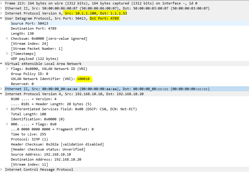 Wireshark Capture Showing ICMP Request Packet Travelling Through L2VNI 10010
